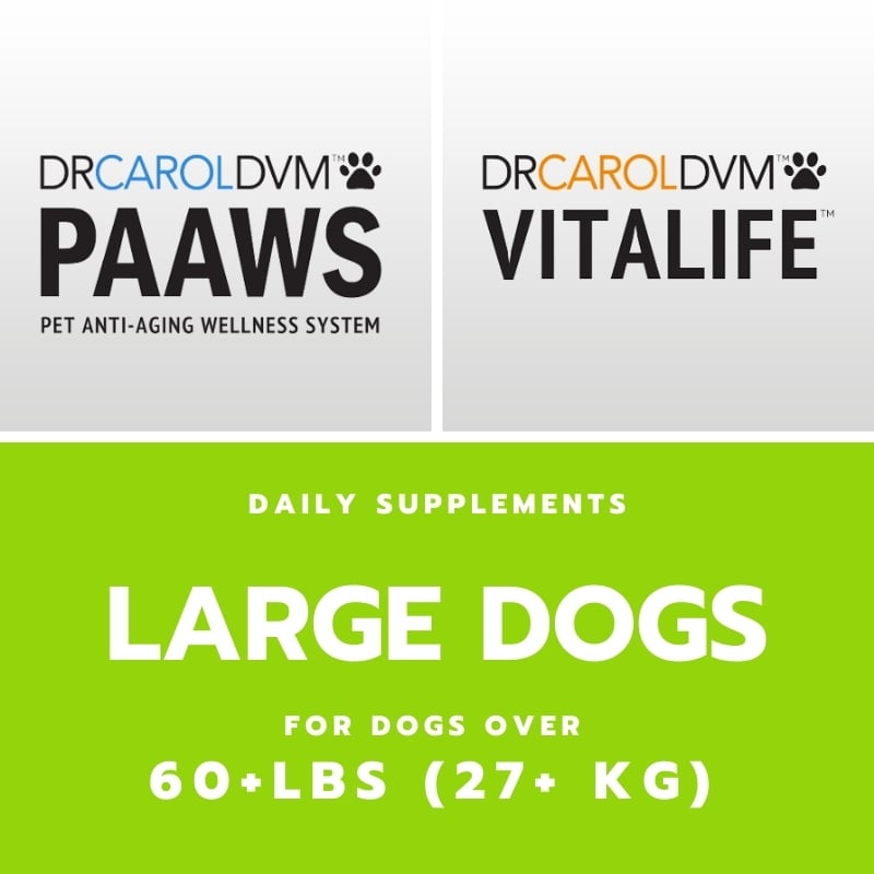 Large Dogs Daily Natural Supplements