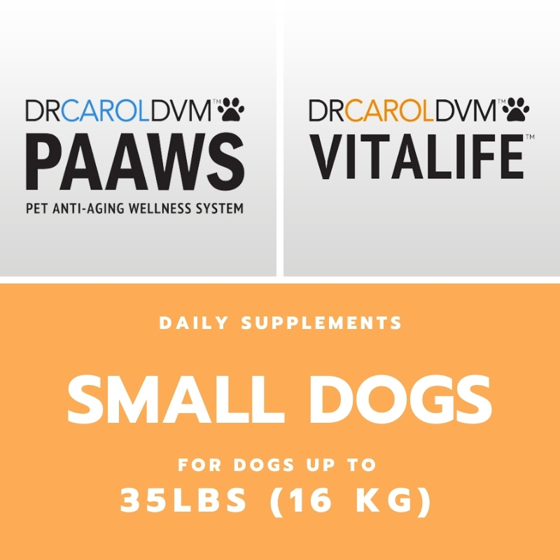 Small Dogs Daily Natural Supplements